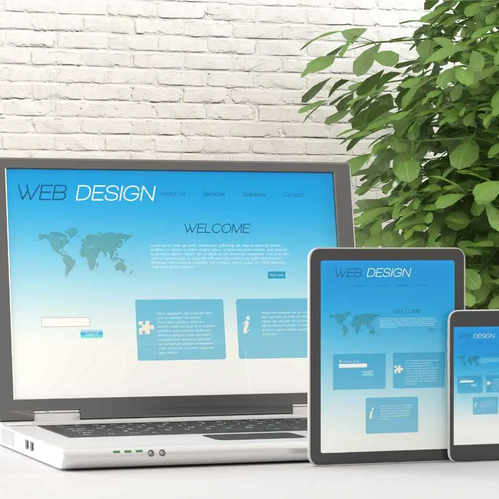 Our web design and development services can help you build a high-converting website that can bring in new customers 24/7